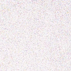 Kép 2/2 - Csillámpor 20gramm #Illuminator