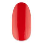 Kép 1/12 - NiiZA Gel Polish 7ml - 116