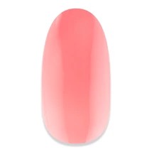 NiiZA Gel Polish 7ml - 248 Üveg hatású