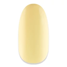 NiiZA Gel Polish 7ml - 070