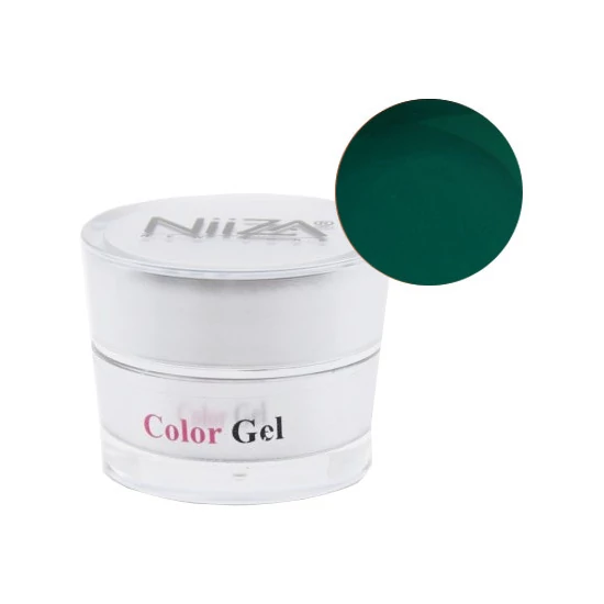 NiiZA ColorGel #06