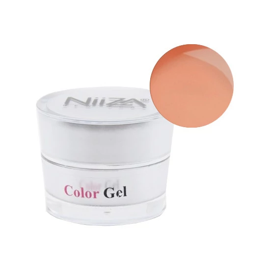 NiiZA ColorGel #09