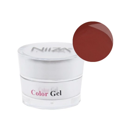 NiiZA ColorGel #13