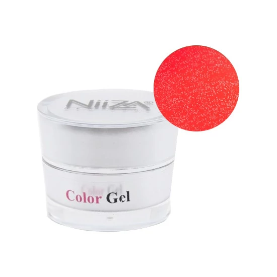 NiiZA ColorGel #24