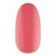 NiiZA Gel Polish 7ml - 173