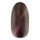 NiiZA Gel Polish 7ml - 185 Cat Eye